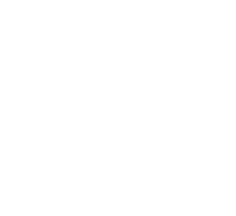 Rupees Icon